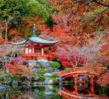 Samoorganizacija vrta v japonskem slogu