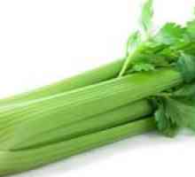 Celery: opis, sajenje in gojenje
