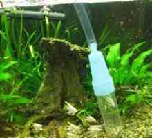 Sifon za čiščenje akvarija. Vrste akvarijskih sifonov in priporočil
