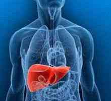 Simptomi povečane jeter in načini zdravljenja