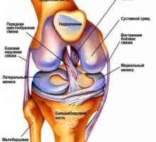 Koliko ligament razpoka v kolenskem sklepu?