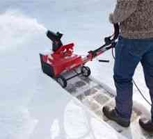 Oprema za odstranjevanje snega z lastnimi rokami doma: snežne plavarice