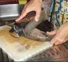 Načini čiščenja rib iz lusk: hitro in pravilno