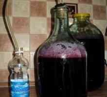 Načini izdelovanja vina iz fermentiranega kompota