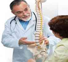 Struktura in funkcije človeške hrbtenice, vzorcev in oznak