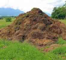 Prašni gnoj kot gnojilo: korist in škoda za tla