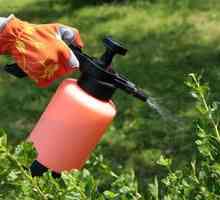 Tobačni prah: uporaba v vrtnarstvu
