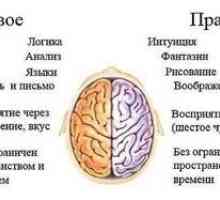 Test je vodilna hemisfera možganov, vrsta značaja
