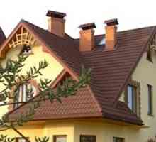 Vrste in fotografije mansardnih streh za zasebne hiše