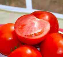 Tomato `Bobkat`: opis in karakterizacija sorte, prednosti