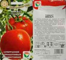 Tomato `Yamal` - značilnosti in opis sorte