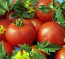 Tomato Koenigsberg: značilnosti in opis sorte