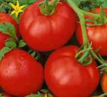 Tomato `Muscovite`: značilnosti, opis sorte