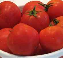 Tomato Sanka: značilnosti in opis sorte