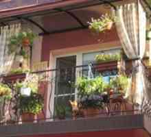 Okrasni balkoni z lepimi rožami: fotografija uspešnih skladb