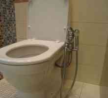 WC z higieničnim prho in mešalnikom