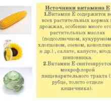 Kakšna hrana vsebuje vitamin E: glavna korist in škoda