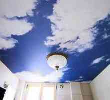 Različni stropi za dnevno sobo - pokrivajte fotografijo