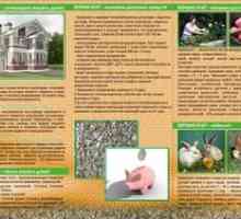 Vermikulit: opis in uporaba