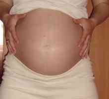 Norice pri nosečnicah: ali je nevarno ali ne?