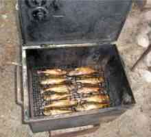 Vrste kajenja, vrste dimničarjev in kako kuhati ribe v koptilkih