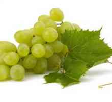 Muscat grozdje, znane sorte grozdja