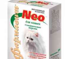 Vitamini za mačke iz izgube las