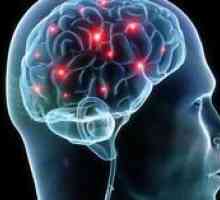 Vitamini za možgane: učinek na spomin in um