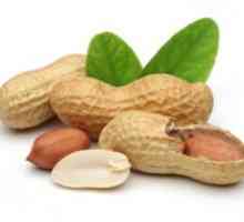 Škoda in koristi arašidov za človeško telo, lastnosti praženih oreškov