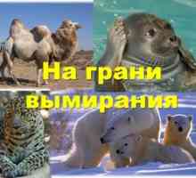Ogrožene živali na ozemlju Rusije, ogrožene vrste rastlin
