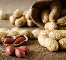 Odraščanje arašidov doma v Ukrajini