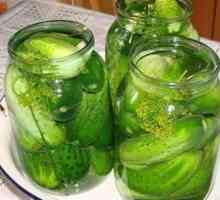 Pobiranje kumaric za zimo v litrski kozarci