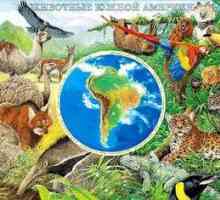 Živalski in zelenjavni svet Južne Amerike