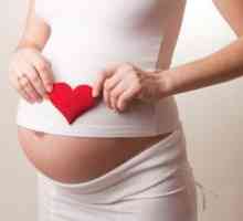 Življenje bodoče matere in razvoj otroka za 7 mesecev nosečnosti