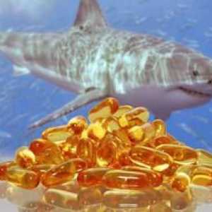 Maščobe morskega psa: škoda in koristi izdelka, funkcije uporabe