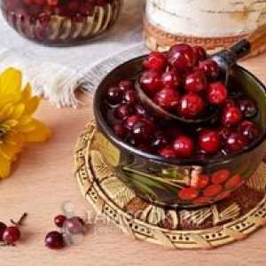 Lingonberry vosek za zimo: recepti za jagode s sladkorjem in brez kuhanja