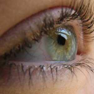 Kaj je angiopatija mrežnih očes očes in kako zdraviti