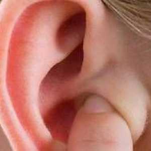 Kaj je tragus ušesa? Bolečina, ko pritisnete