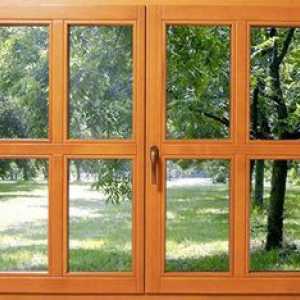 Leseni okenski okvirji: značilnosti oken iz lesa