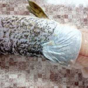 Polnjene ribe: kako pravilno odstraniti kožico