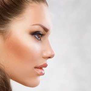Oblike nosu pri ženskah: vrste, značilnosti in standardi