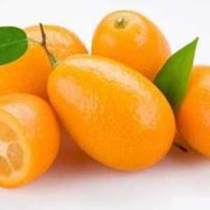 Sadni kumquat: kjer raste in kaj je koristno