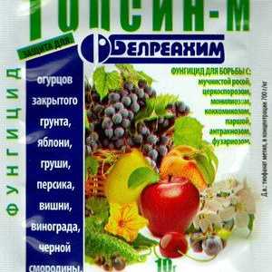 Fungicid topsin m: navodila za uporabo