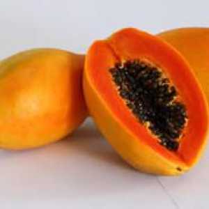 Kje raste in kako izgleda papaja, uporabne lastnosti sadja