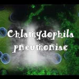 Chlamydia pneumoniae (klamidija pneumoniae)