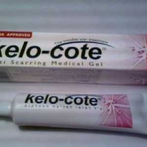 Navodila za uporabo gel kelo-cat in analognih dermatikov