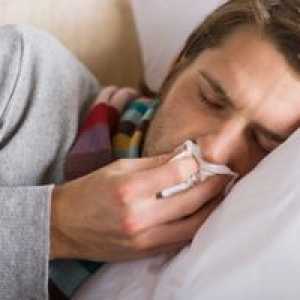 Kako in kaj zdraviti sinusitis v domu