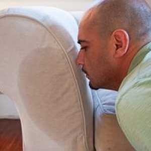 Kako se znebiti vonja urin na kavču z ljudskimi metodami