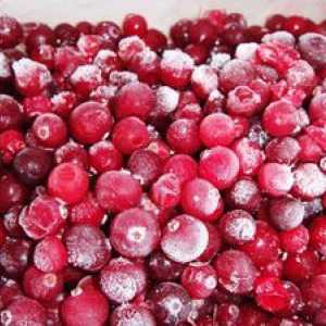 Kako lahko obdržite lingonberries doma?