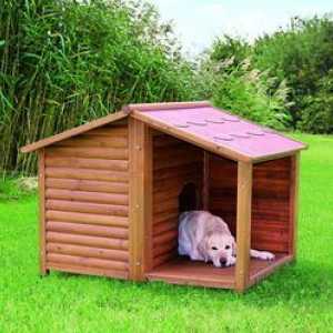 Kako zgraditi kabino za psa z lastnimi rokami